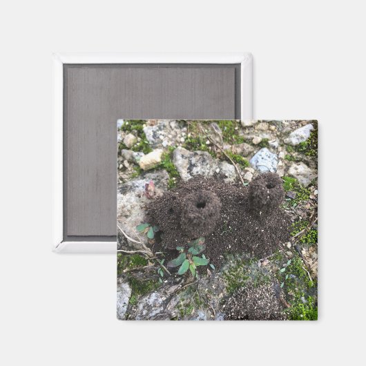 Ant Castle Magneet (Voorkant / Achterkant)