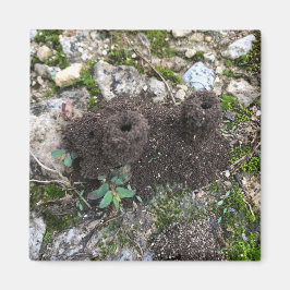 Ant Castle Magneet