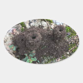 Ant Castle Ovale Sticker