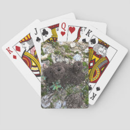 Ant Castle Pokerkaarten