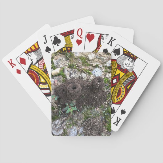 Ant Castle Pokerkaarten (Achterkant)
