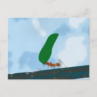 Ant die een leder draagt briefkaart