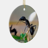 Ant eetinsect keramisch ornament (Rechts)