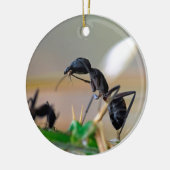 Ant eetinsect keramisch ornament (Links)