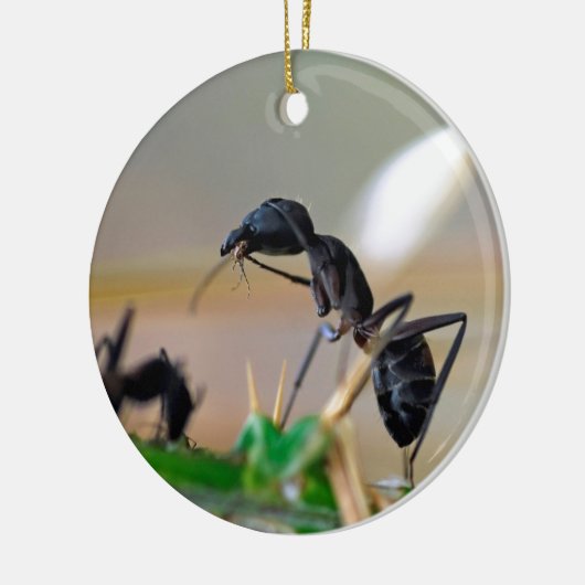 Ant eetinsect keramisch ornament (Links)