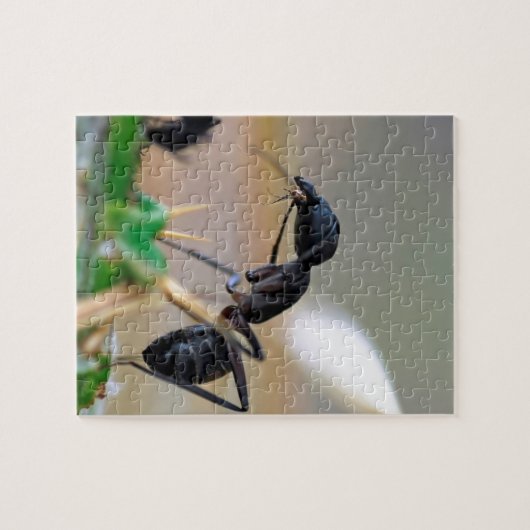 Ant eetinsect legpuzzel (Horizontaal)