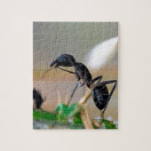 Ant eetinsect legpuzzel (Verticaal)
