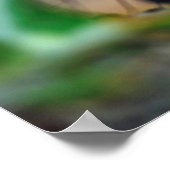 Ant eetinsect poster (Hoek)