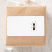 Ant Etiket (Insitu)