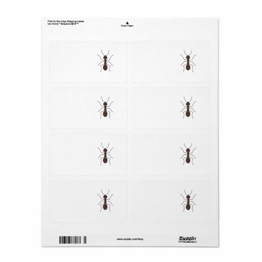 Ant Etiket (Full Sheet)