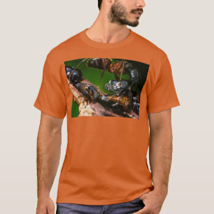 Ant Farming Treehoppers T-shirt