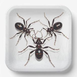 Ant Feast-kartonnen zakken Papieren Bordje