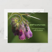 Ant & Flower Dankbaarheid Motivatie Briefkaarten (Voorkant / Achterkant)