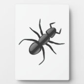 Ant Fotoplaat (voorkant)