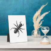 Ant Fotoplaat (Zijkant)