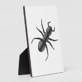 Ant Fotoplaat (Zijkant)