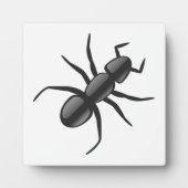 Ant Fotoplaat (Voorkant)