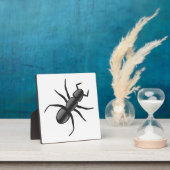 Ant Fotoplaat (Insitu)