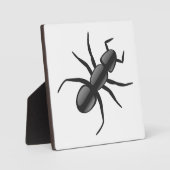 Ant Fotoplaat (Voorkant)