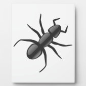 Ant Fotoplaat (Voorkant)