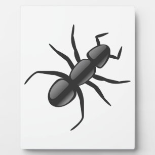 Ant Fotoplaat