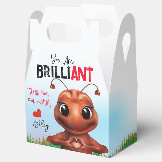 Ant Gebarentaal Dank u Bedankdoosjes (Geopend)