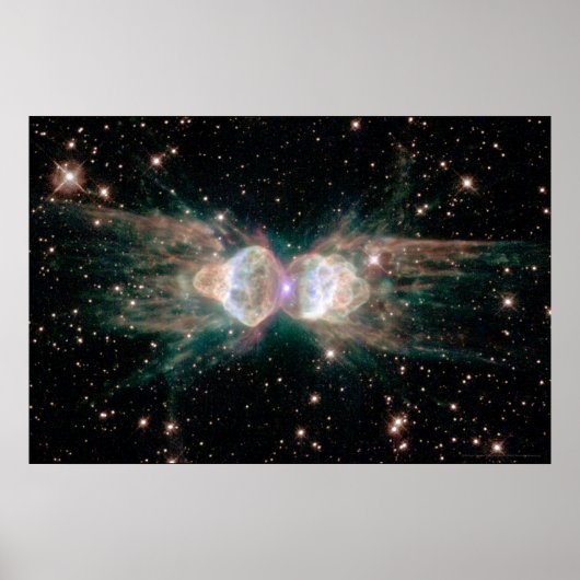 Ant Nebula 30x20 (27x18) Poster (Voorkant)