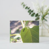 Ant op Leaf Briefkaart (Staand voorkant)