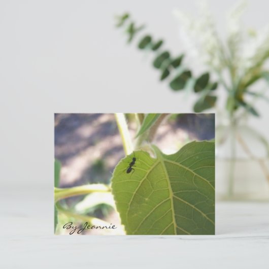 Ant op Leaf Briefkaart (Staand voorkant)