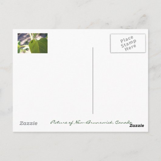 Ant op Leaf Briefkaart (Achterkant)