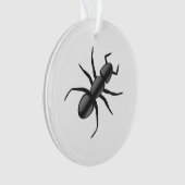 Ant Ornament (voorkant)