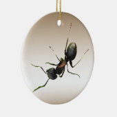 Ant Ornament (Rechts)