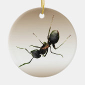 Ant Ornament (Voorkant)