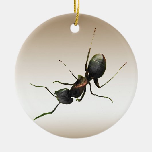 Ant Ornament (Voorkant)