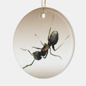 Ant Ornament (Links)