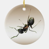 Ant Ornament (Achterkant)