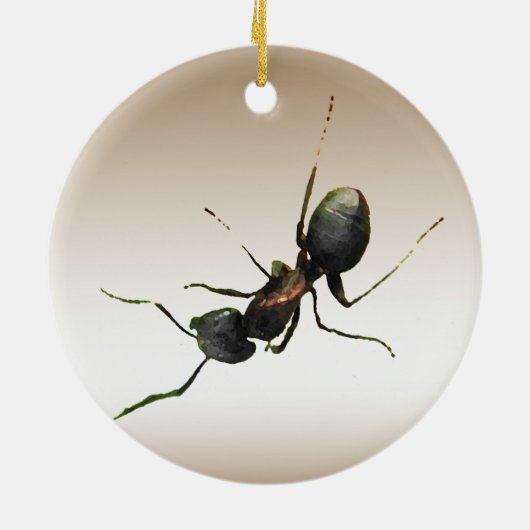 Ant Ornament (Achterkant)