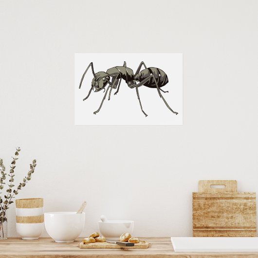 Ant Poster (Keuken)