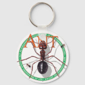 Ant Sleutelhanger (Voorkant)