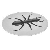 Ant Snijplank (Hoek)