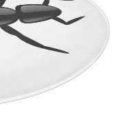 Ant Snijplank (Hoek)