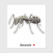 Ant Sticker (Vel)