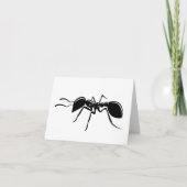 Ant tekeninsect kaart (Voorkant)
