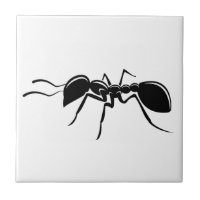 Ant tekeninsect