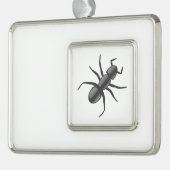 Ant Verzilverd Omlijst Ornament (Links)