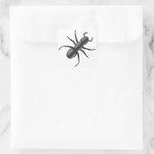 Ant Vierkante Sticker (Tas)