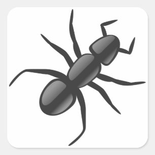 Ant Vierkante Sticker