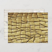 Ant voorbeen briefkaart (Voorkant / Achterkant)