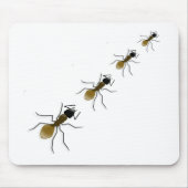 Ant Walk Muismat (Voorkant)