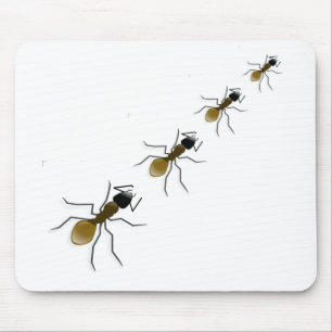 Ant Walk Muismat